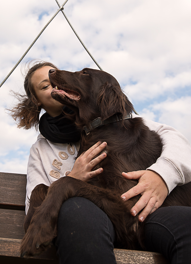 kleine Hundezucht mit FlatCoatedRetriever & GoldenRetriever aus